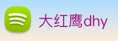 大红鹰dhy logo